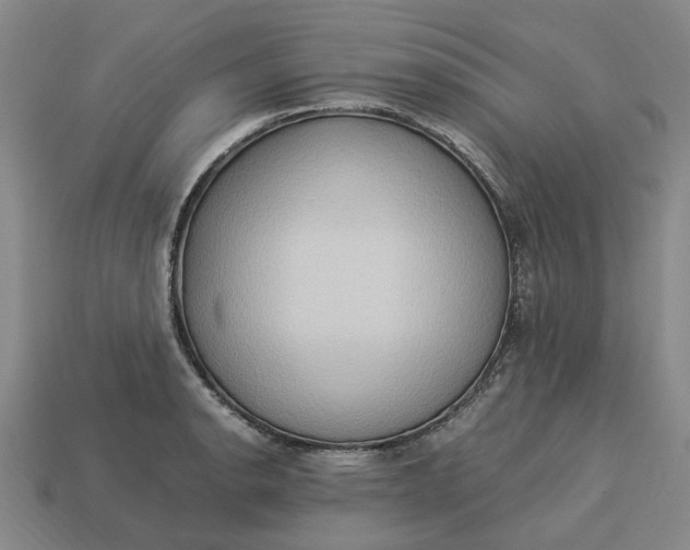 X0000113251134200910011341