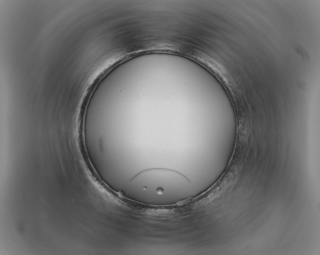 X0000113251135200910011341