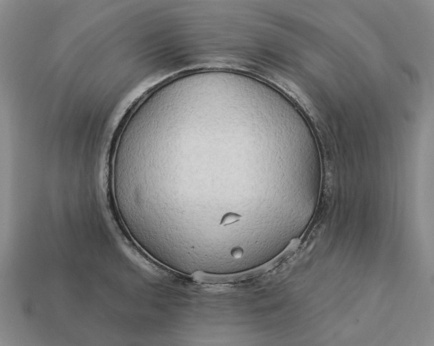 X0000113251136200910011341