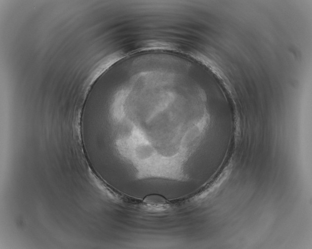 X0000113251137200910011341