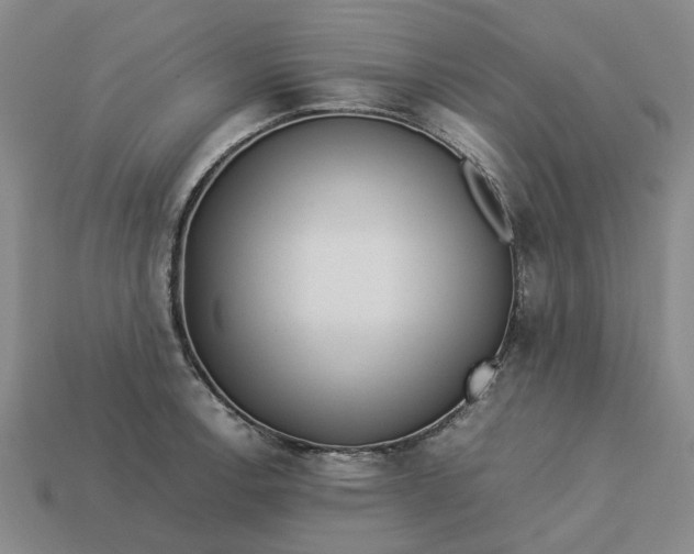 X0000113251138200910011341