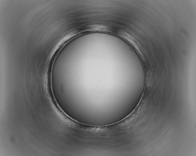 X0000113251139200910011341