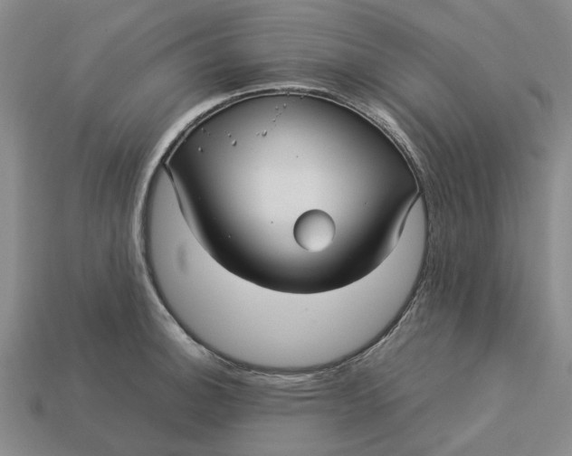 X0000113251140200910011341