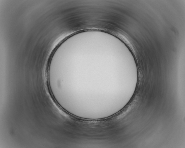 X0000113251141200910011341