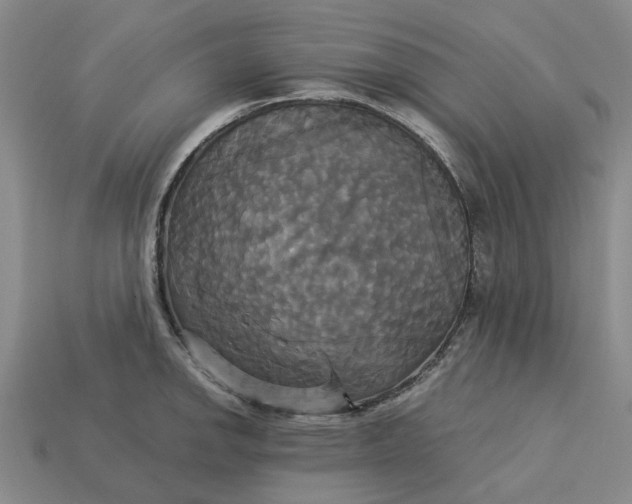 X0000113251142200910011341