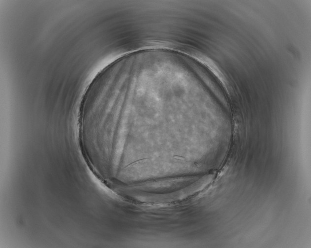 X0000113251143200910011341