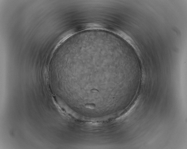 X0000113251145200910011341