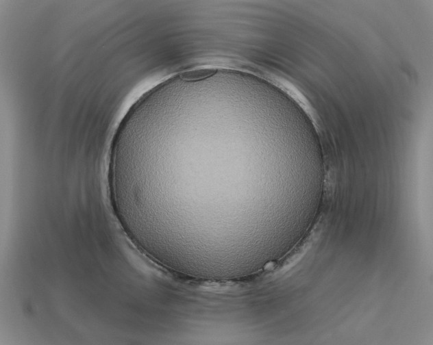 X0000113251146200910011341