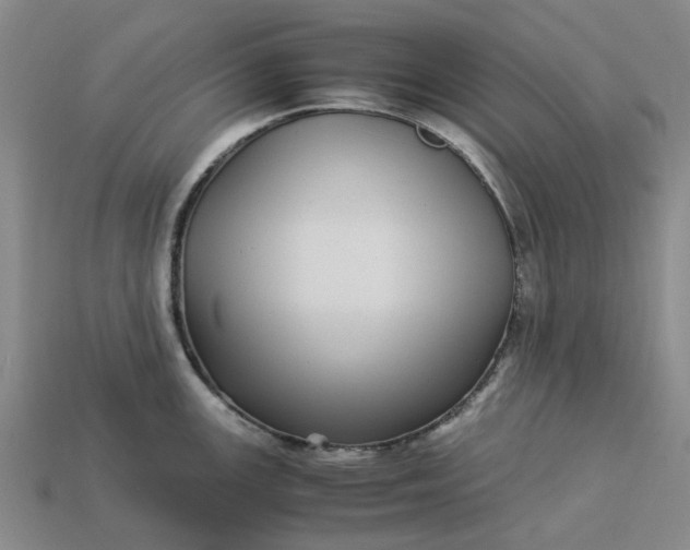 X0000113251147200910011341