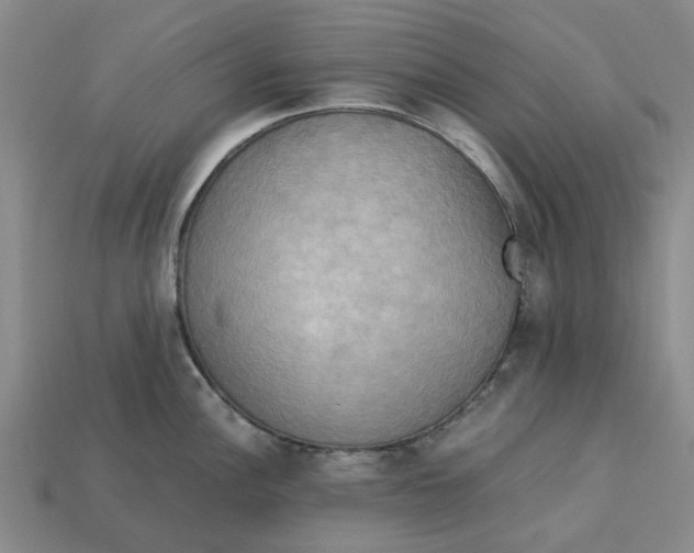 X0000113251148200910011341