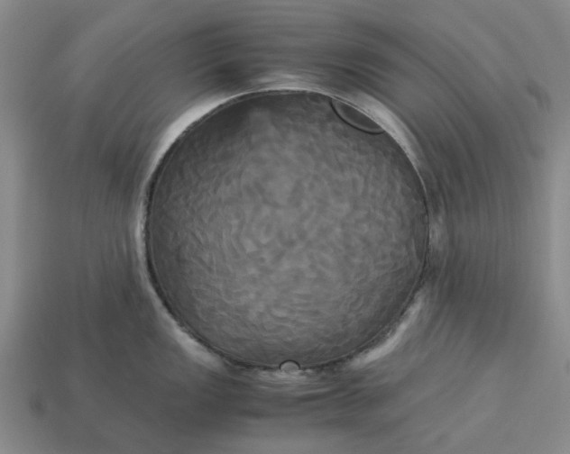 X0000113251149200910011341