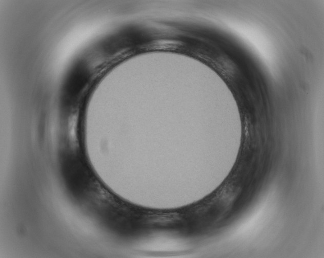 X0000113251150200910011341