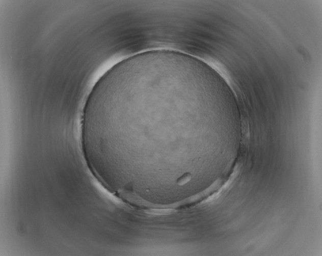 X0000113251151200910011341