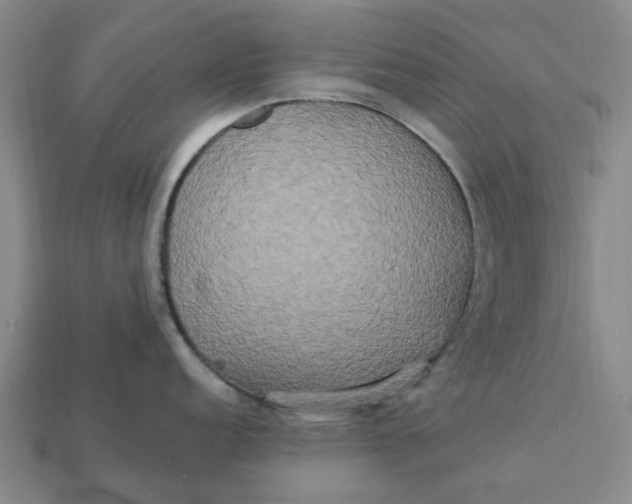 X0000113251152200910011341