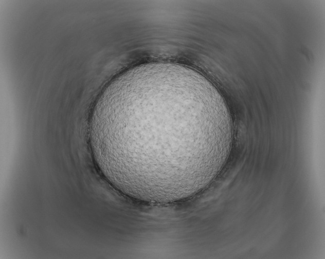 X0000113251153200910011340