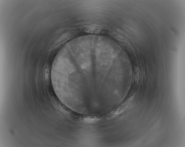 X0000113251154200910011340