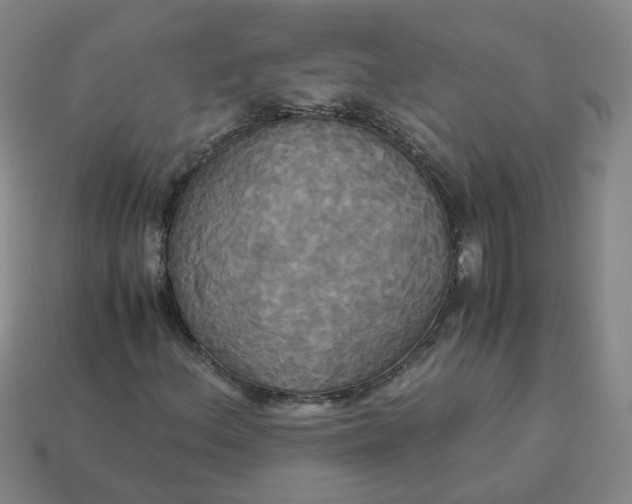 X0000113251156200910011340