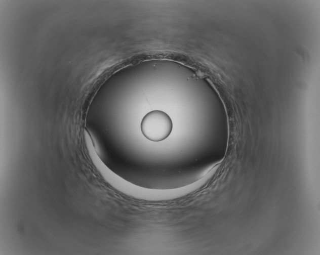 X0000113251157200910011340