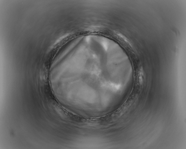 X0000113251158200910011340