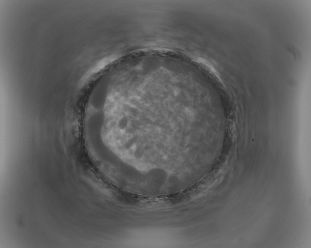 X0000113251159200910011340