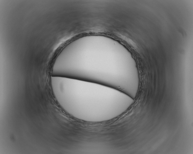 X0000113251160200910011340