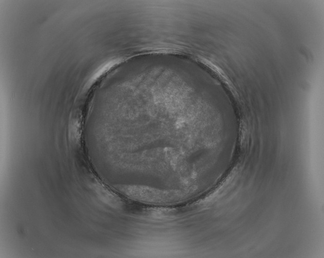 X0000113251163200910011340