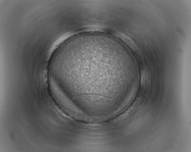 X0000113251164200910011340