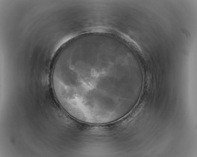 X0000113251166200910011340