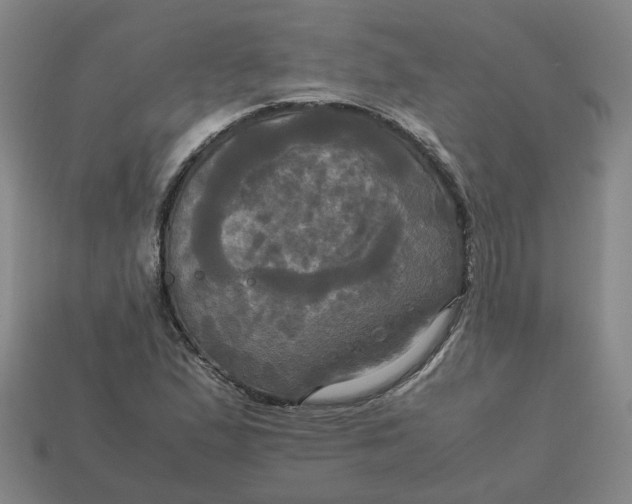 X0000113251167200910011340