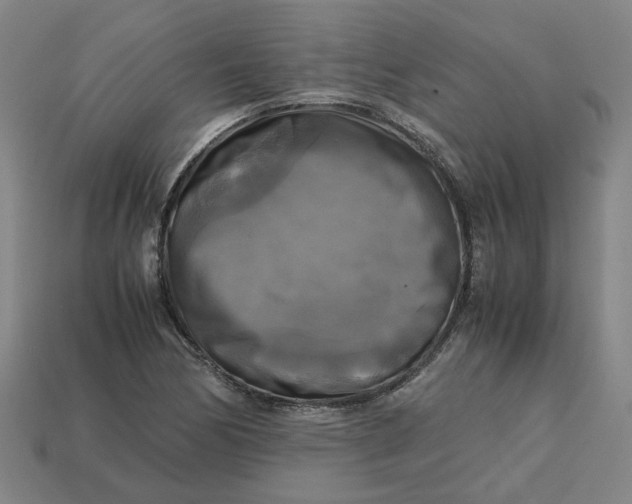 X0000113251170200910011340