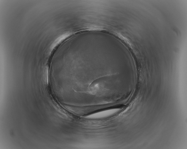 X0000113251171200910011340