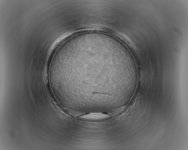 X0000113251172200910011340