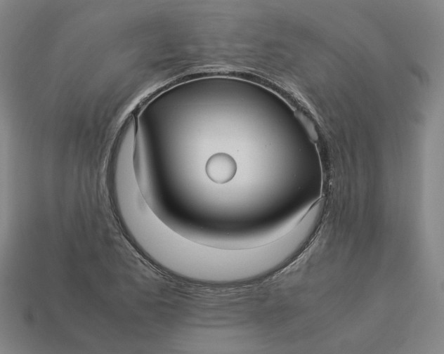 X0000113251173200910011340