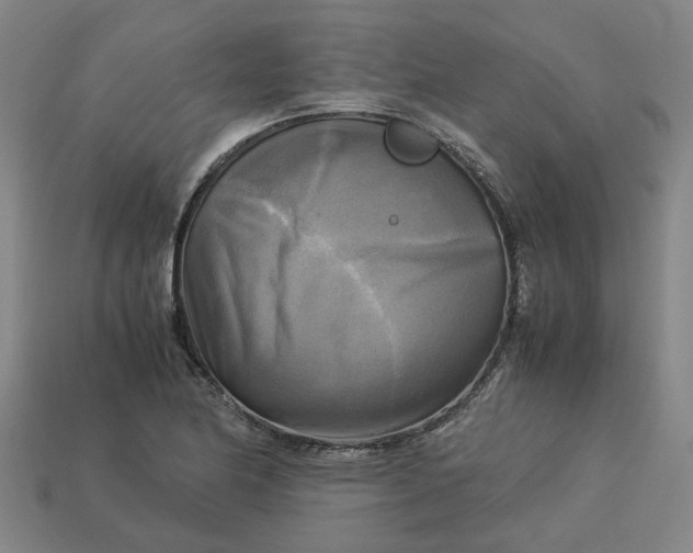 X0000113251174200910011340