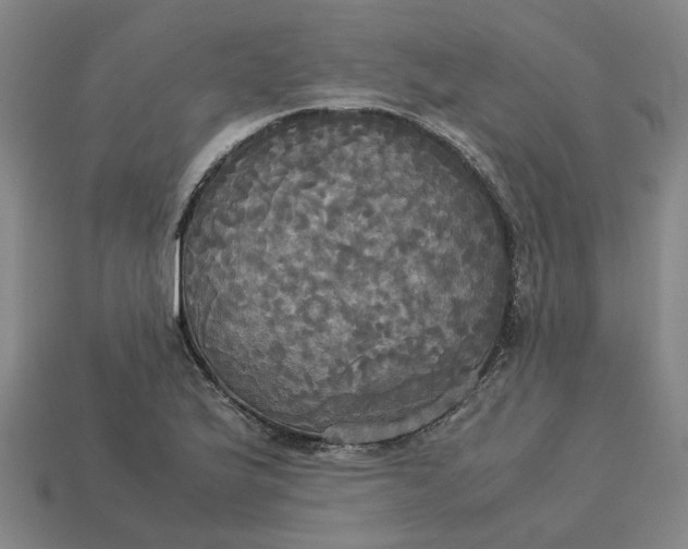 X0000113251175200910011340