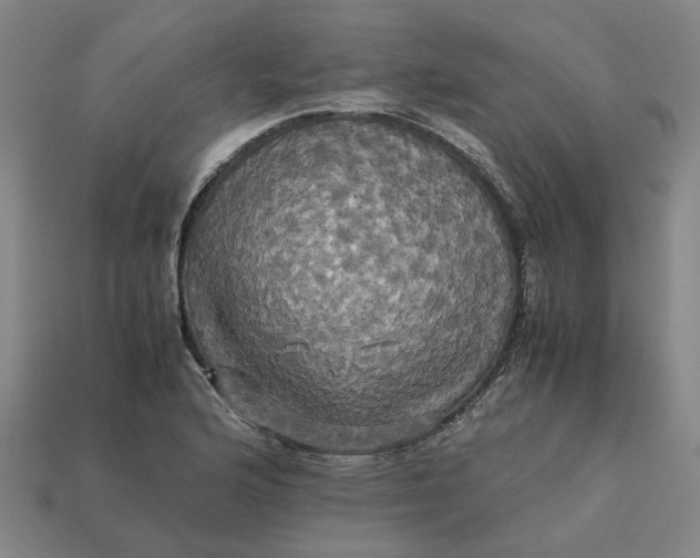 X0000113251176200910011340