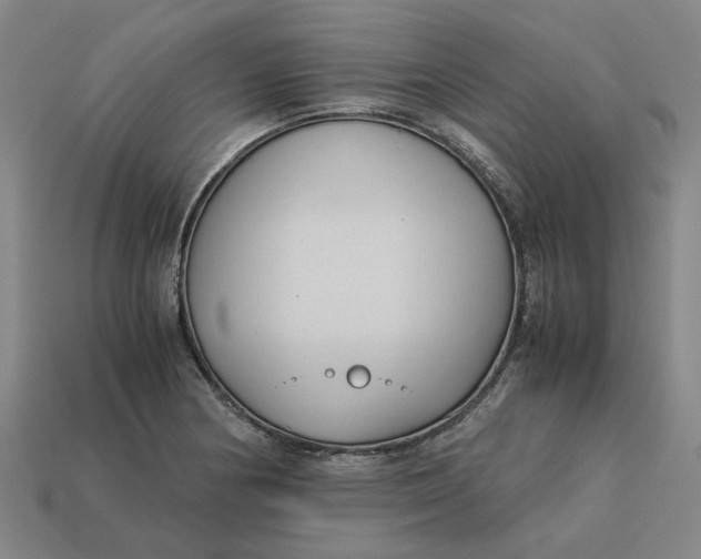 X0000113251178200910011340