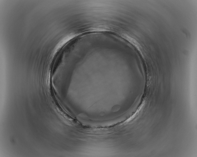 X0000113251179200910011340