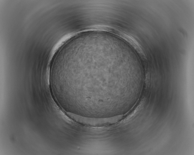 X0000113251180200910011340