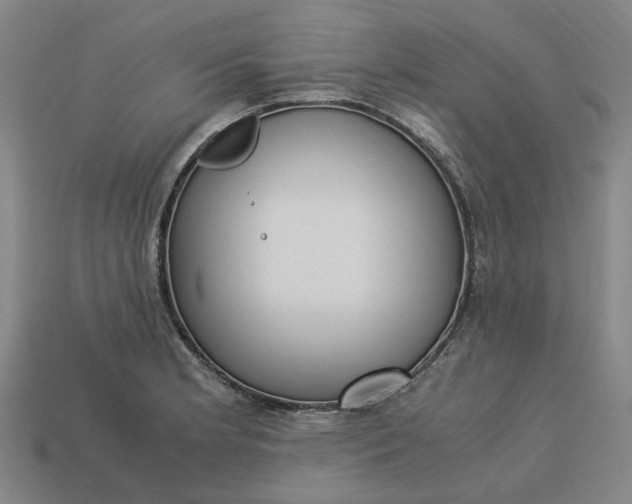 X0000113251181200910011340