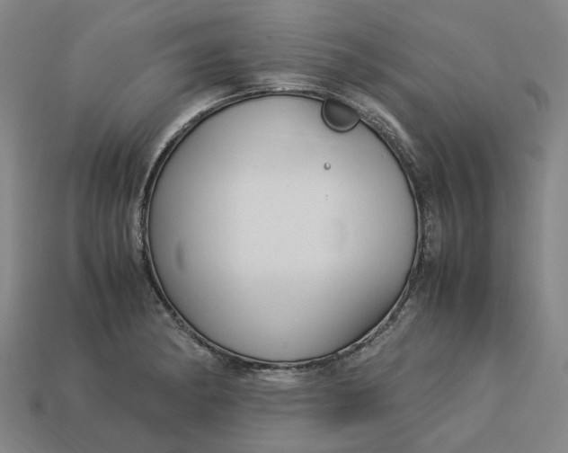 X0000113251182200910011340