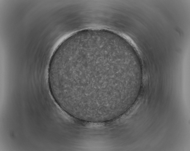 X0000113251183200910011340