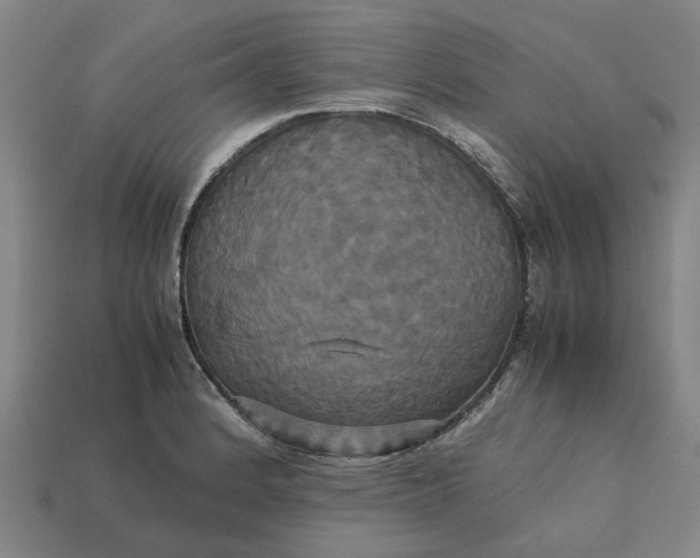 X0000113251184200910011340