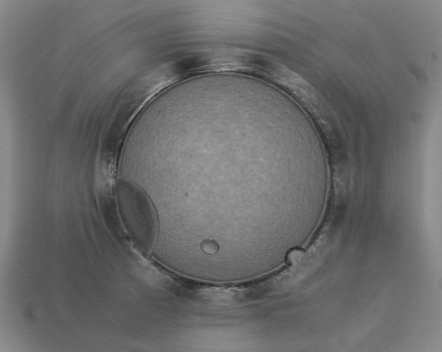 X0000113251185200910011340