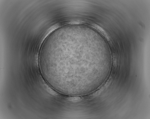 X0000113251186200910011340