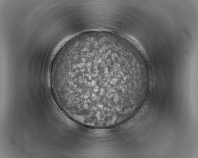 X0000113251188200910011340