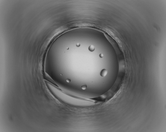 X0000113251189200910011340