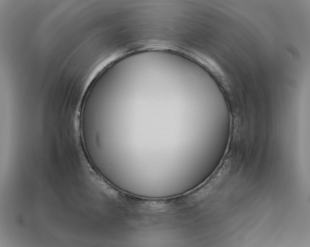 X0000113251190200910011340