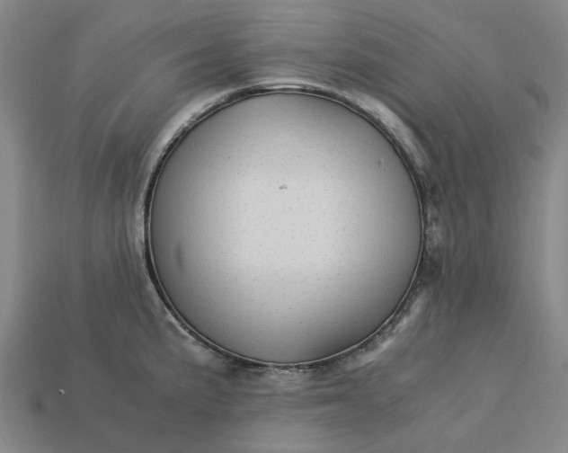 X0000113251191200910011340