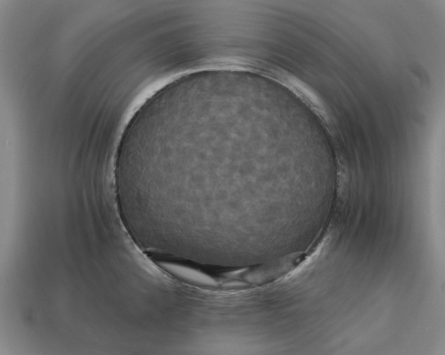 X0000113251192200910011340